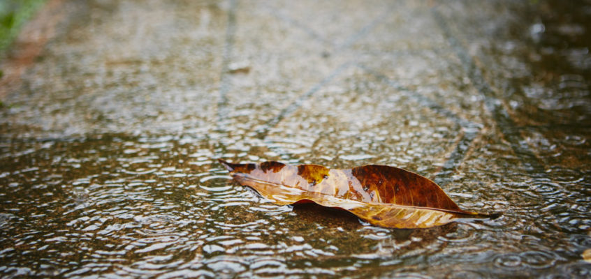 Mozart in the Rain ~Classical Music for Studying and Concentration with rain and thunder